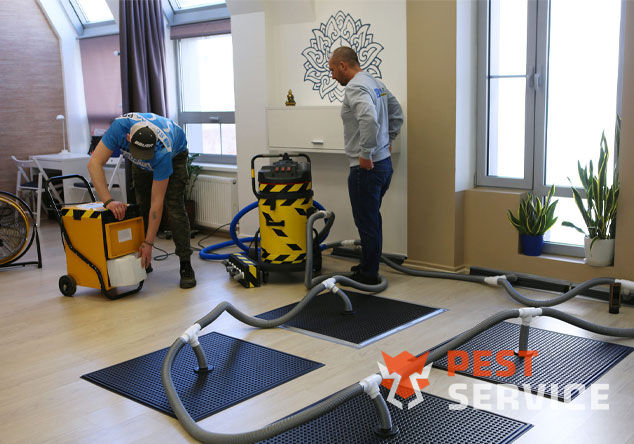 Профессиональная сушка после потопа в Асбесте от 3000 руб. Быстро устраняем влагу, предотвращаем плесень и повреждения. Современное оборудование и опытные специалисты. Безопасно и эффективно.